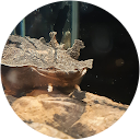 isabel ceballos profile picture