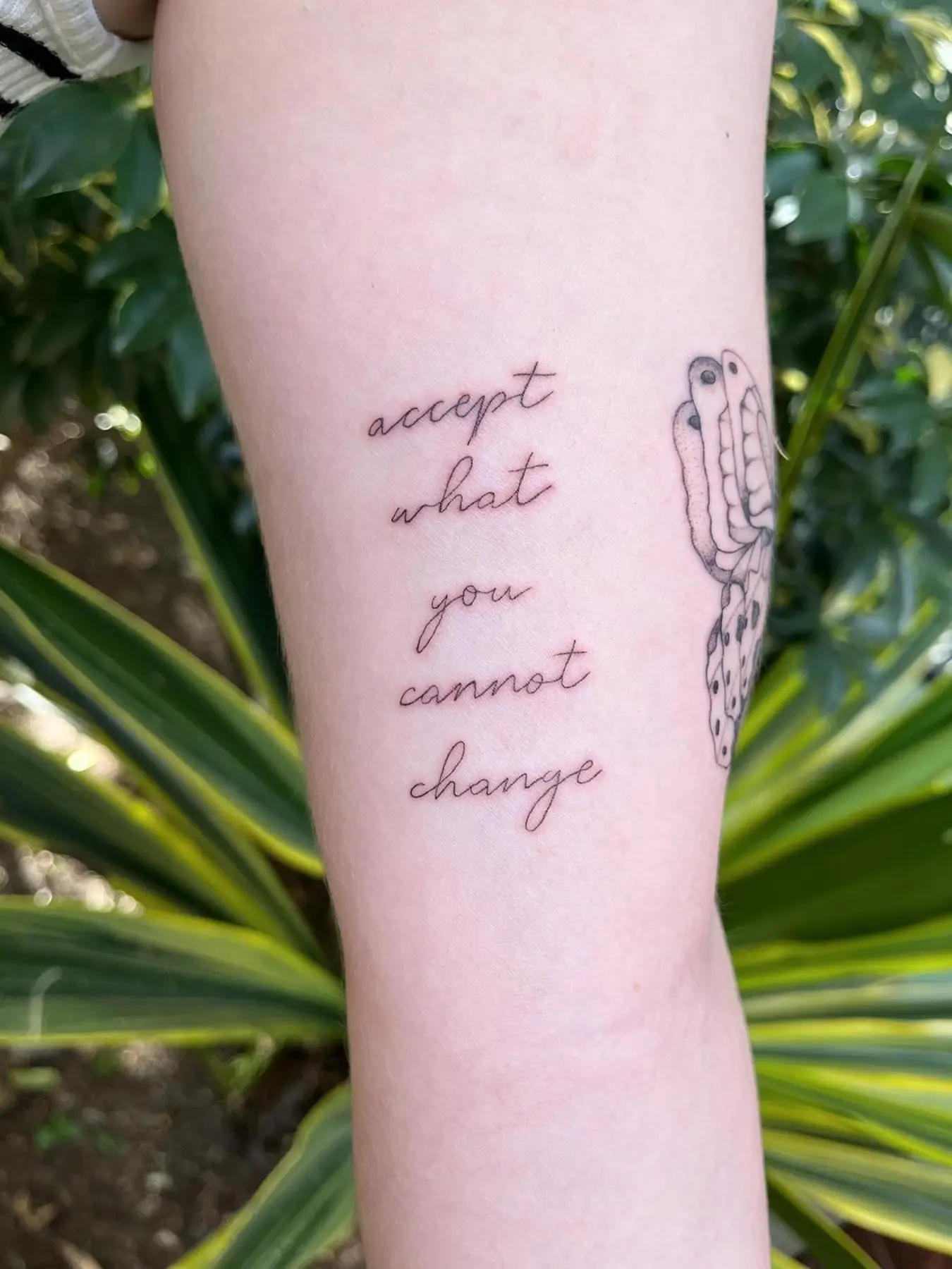 Tatuajes Lettering 19