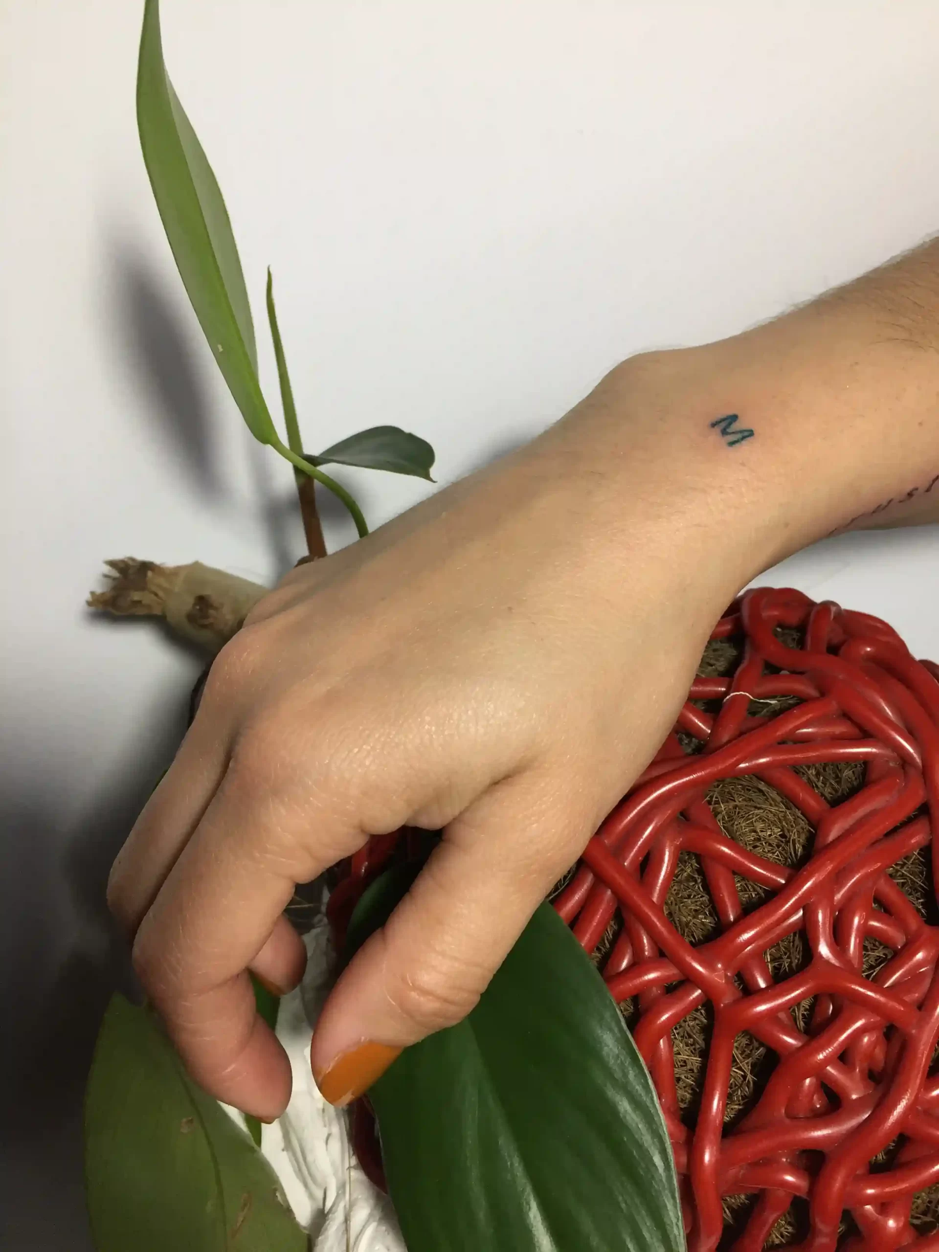 Tatuajes Lettering 6