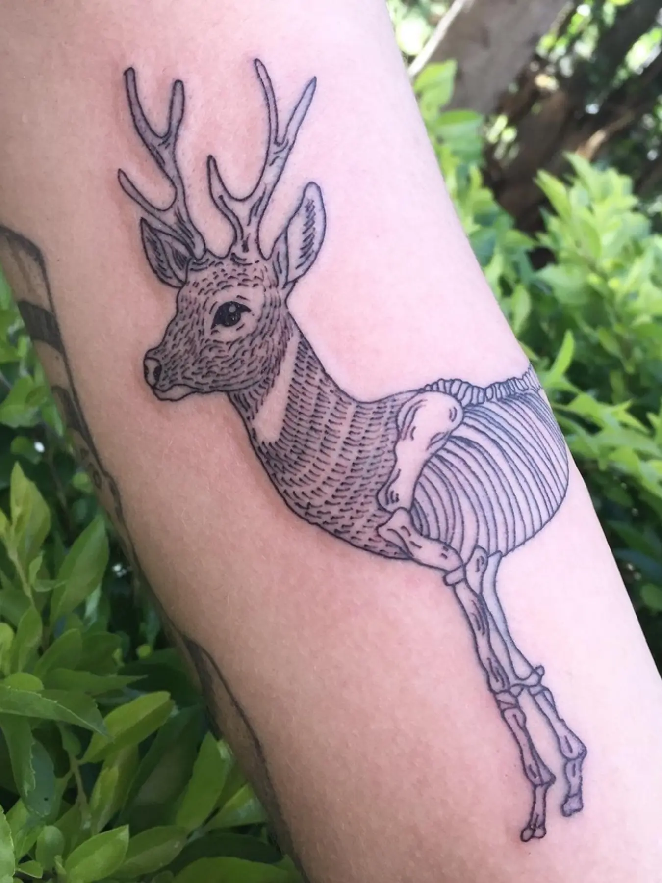 Tatuajes en el brazo 1