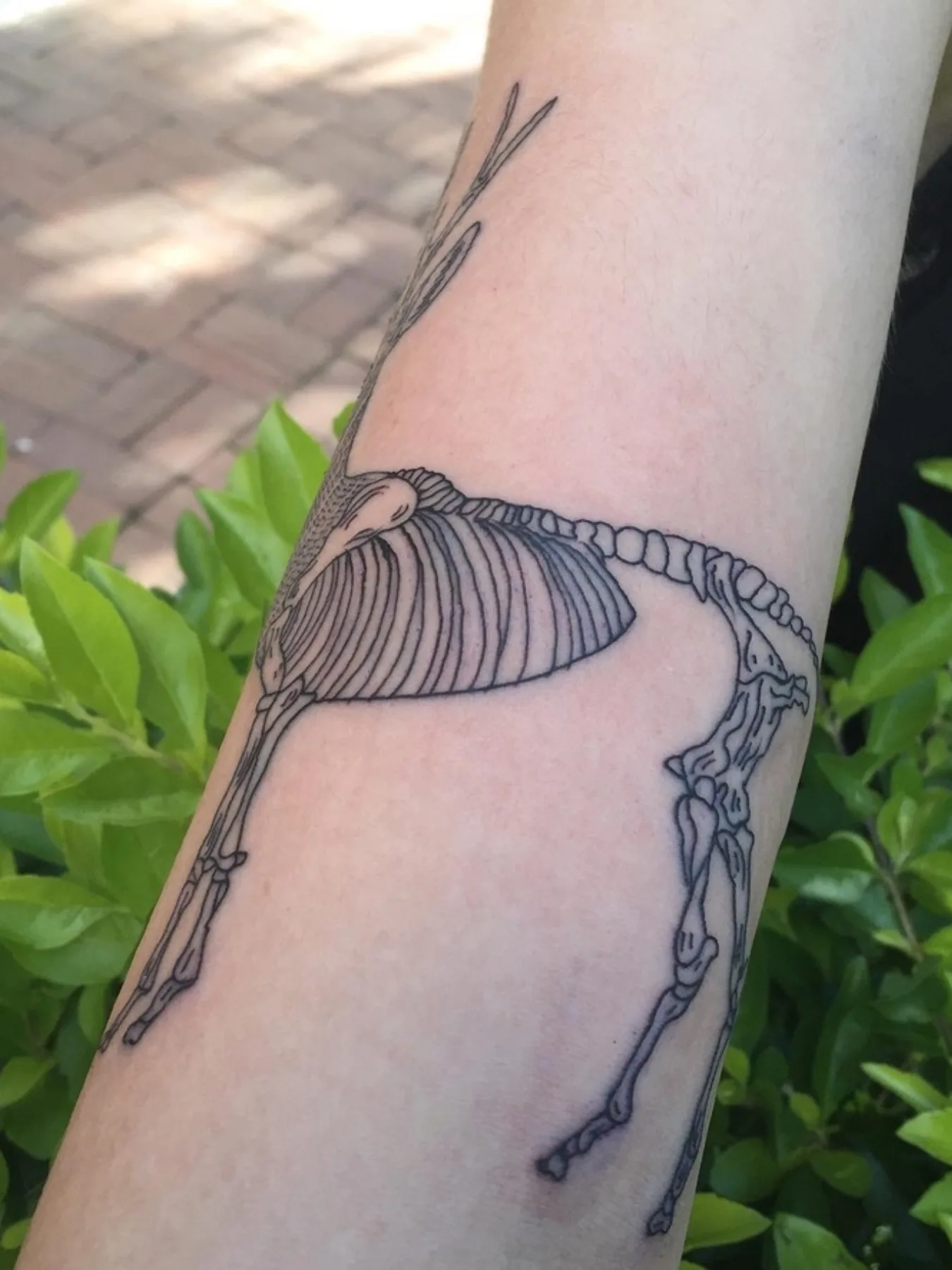 Tatuajes en el brazo 2