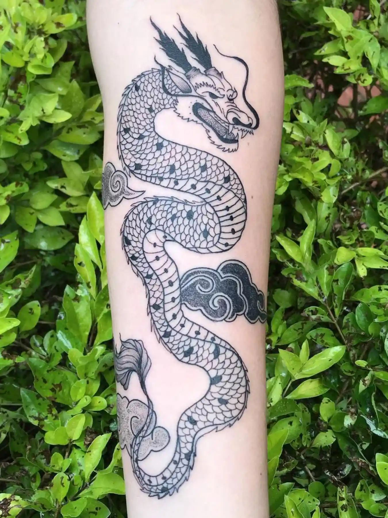 Tatuajes para Hombre 32